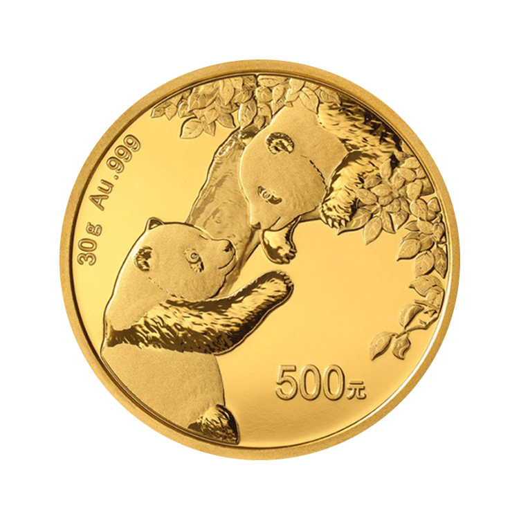 30 gram gouden munt Panda 2023 voorkant