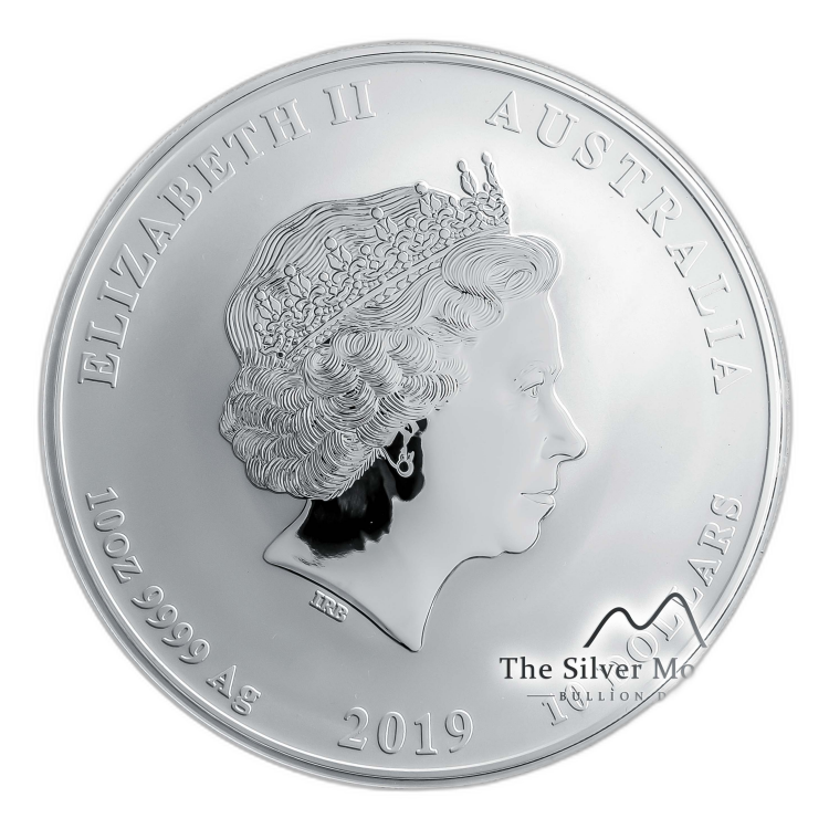 10 troy ounce zilveren Lunar munt Year of the Pig 2019 perspectief 1