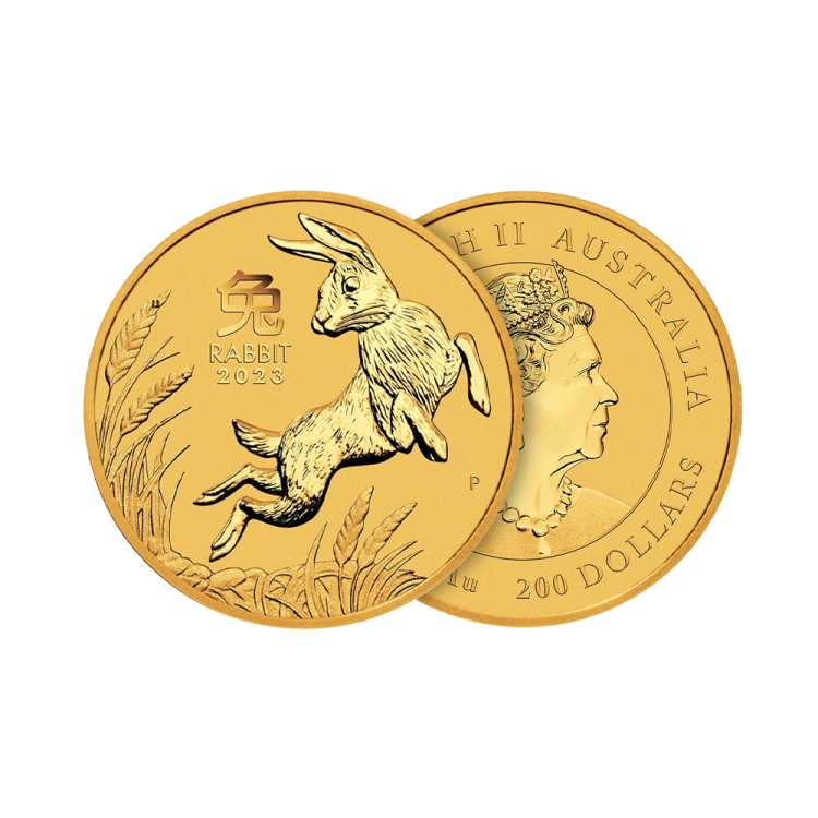 2 troy ounce gouden Lunar munt Year of the Rabbit 2023 perspectief 1