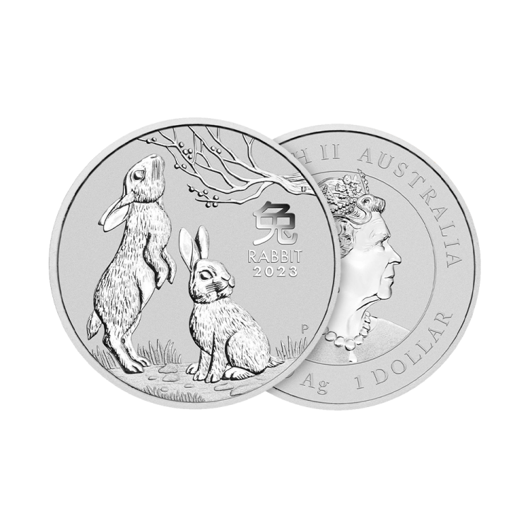 1 troy ounce zilveren Lunar munt Year of the Rabbit 2023 perspectief 1
