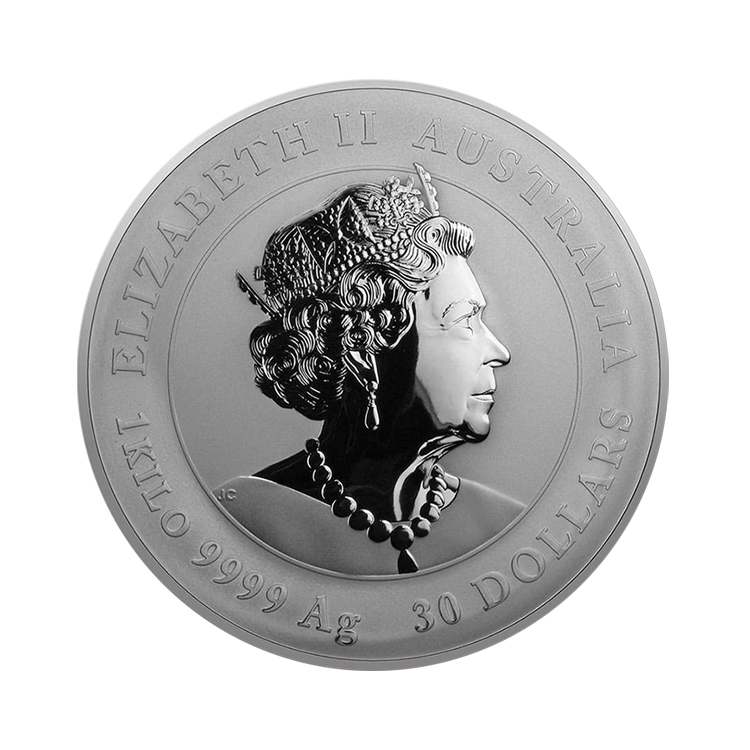 1 kilo zilveren Lunar munt Year of the Mouse 2020 perspectief 1