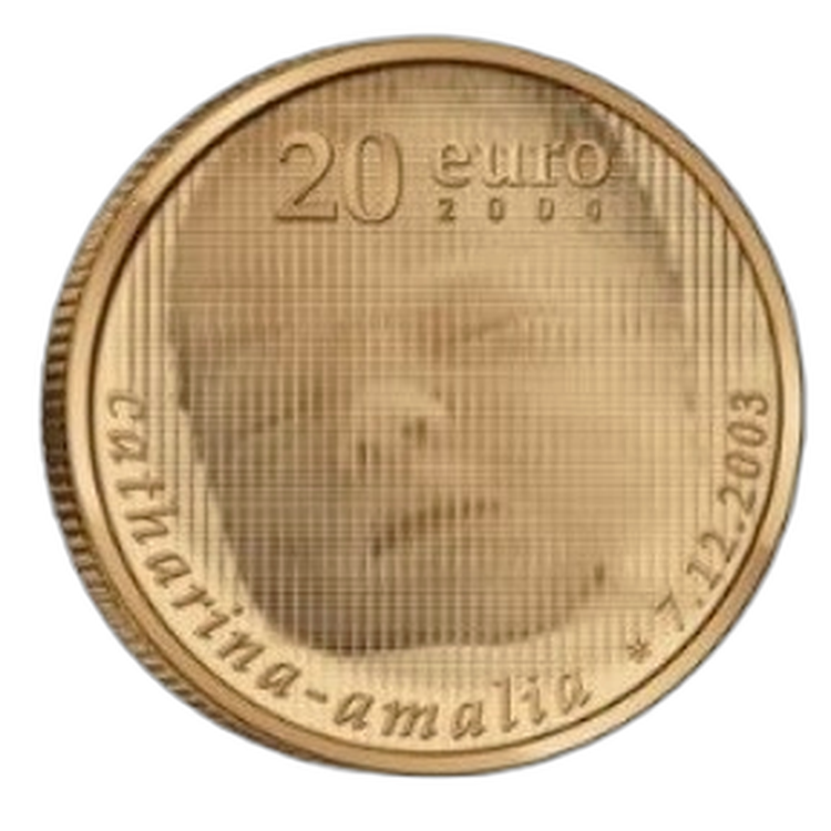 Gouden munt 20 Euro Amalia 2004 voorkant