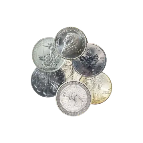 Circulated 1 oz beleggingsmunt zilver