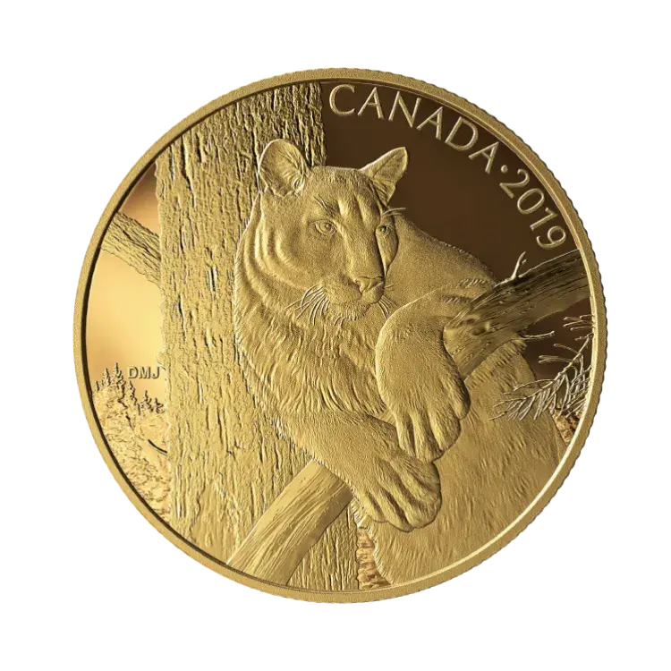 35 gram Gouden Proof Munt Canadian Cougar 2019 voorkant