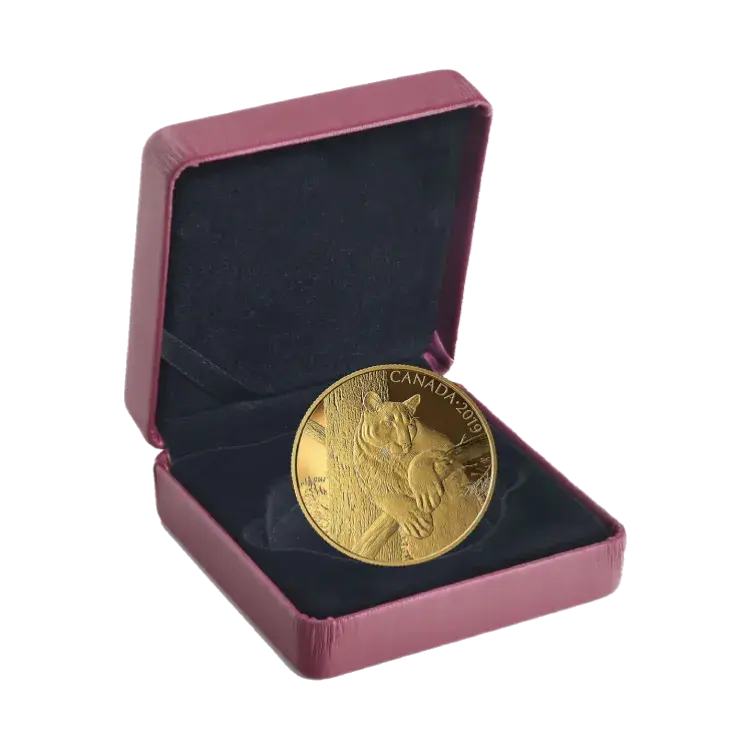 35 gram Gouden Proof Munt Canadian Cougar 2019 perspectief 1