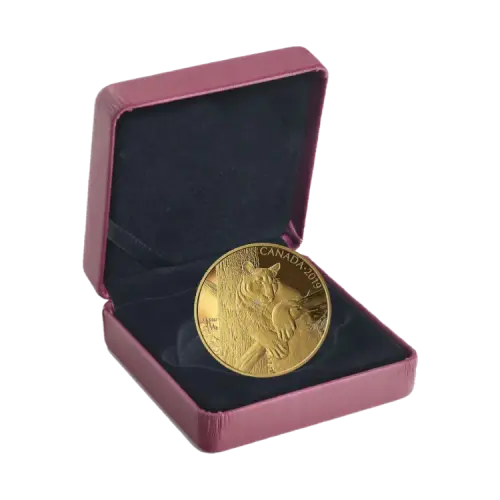 35 gram Gouden Proof Munt Canadian Cougar 2019 voorkant
