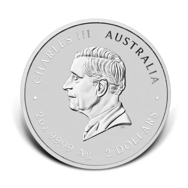 2 troy ounce zilveren munt Lunar Year of the Snake 2025 achterkant