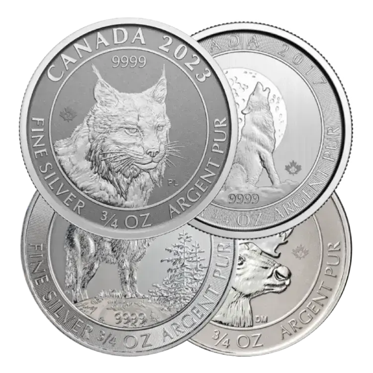 3/4 troy ounce zilveren munt divers voorkant