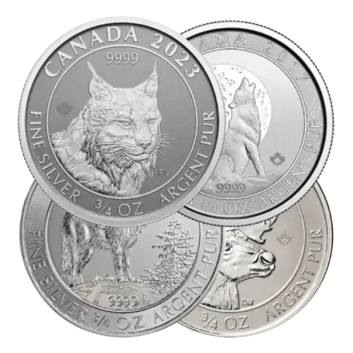 3/4 troy ounce zilveren munt divers voorkant