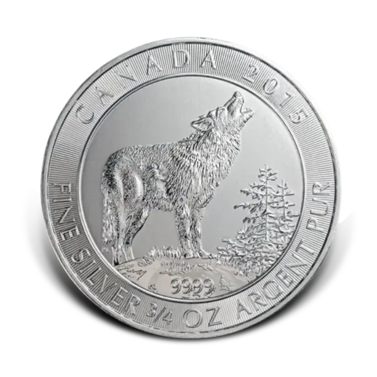 3/4 troy ounce zilveren munt divers perspectief 1