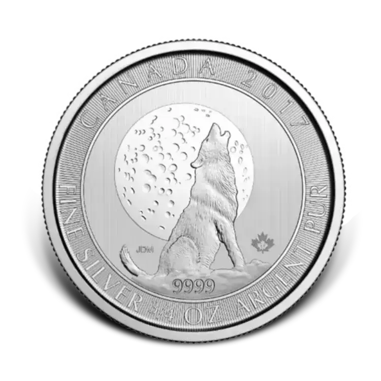 3/4 troy ounce zilveren munt divers perspectief 2