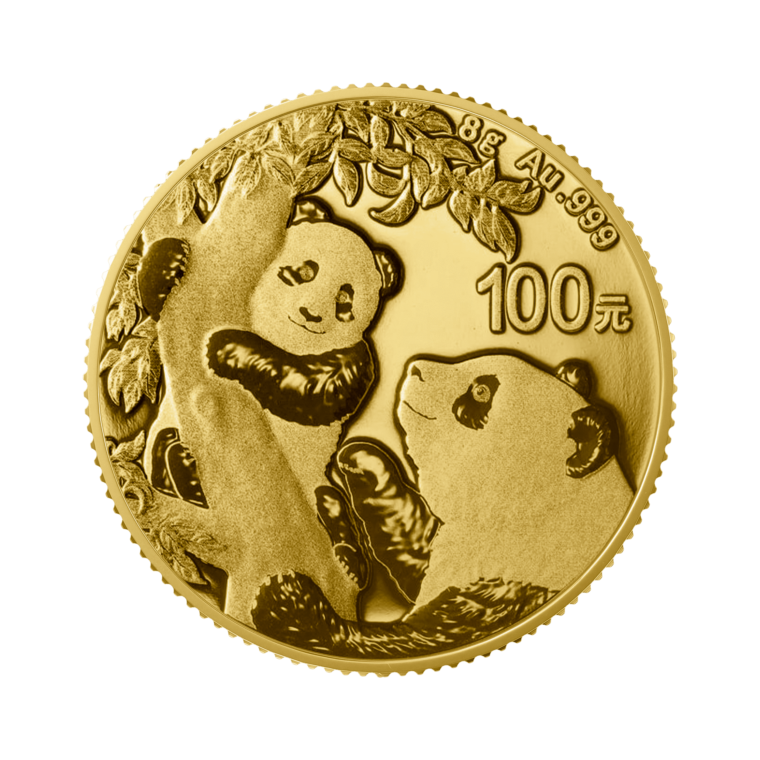 8 gram gouden munt Panda 2021 voorkant