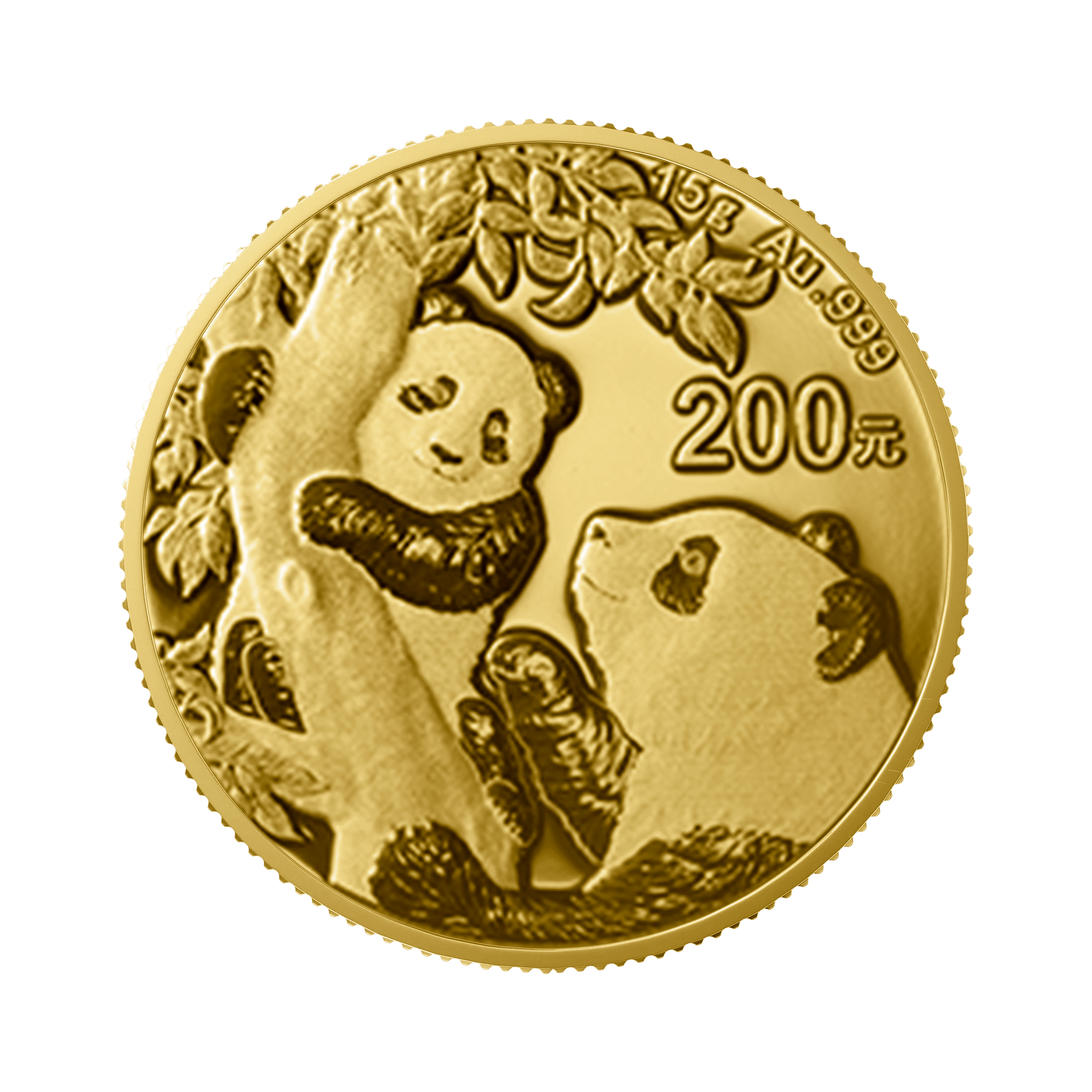 15 gram gouden Panda munt 2021 voorkant