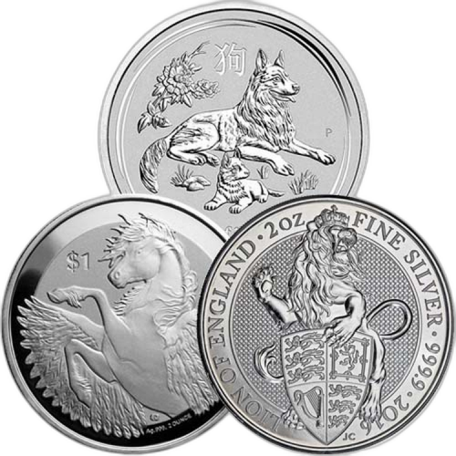 2 troy ounce zilveren munt divers voorkant