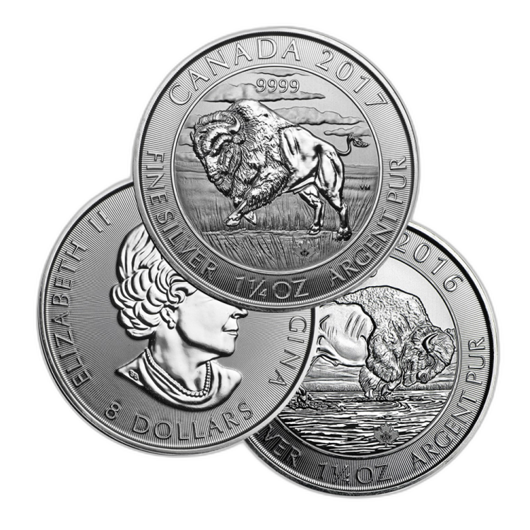 1.25 troy ounce zilveren munt divers voorkant