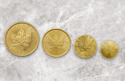 Gouden Maple Leaf verschillende formaten