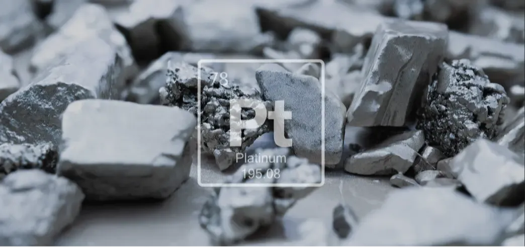 platinum beleggen